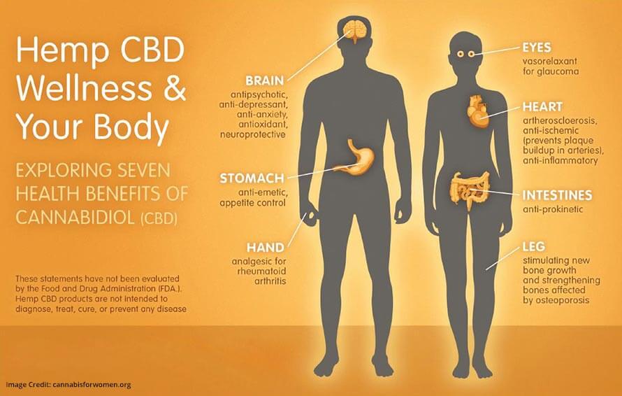 mental-health-wellbeing-cbd-options-treatment-plans