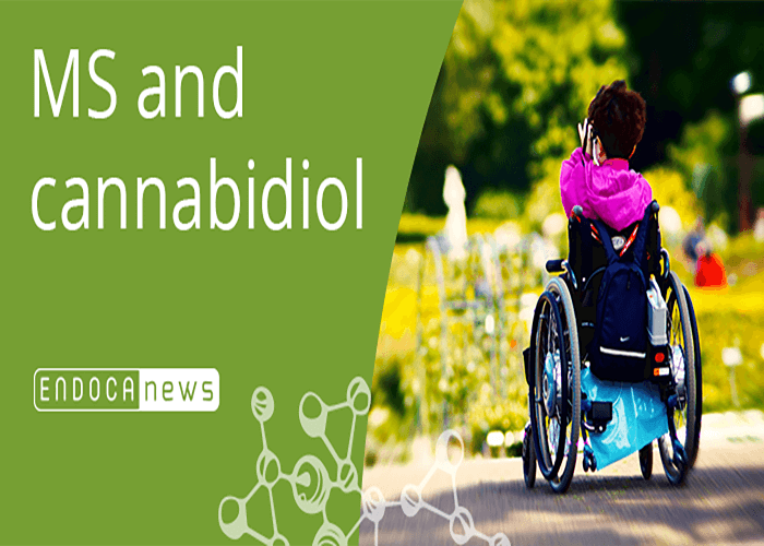 multiple-sclerosis-cbd-treatment-solutions